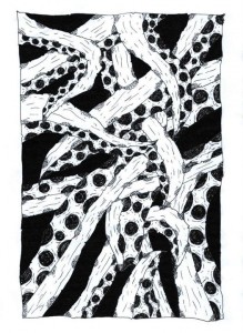 Chris Tianto - black and white drawing - Octopus